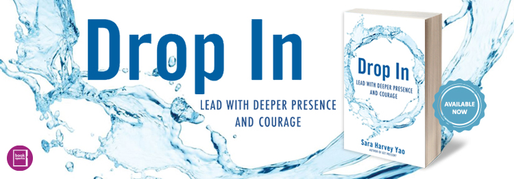 header-dropin2