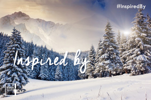inspiredby-winter