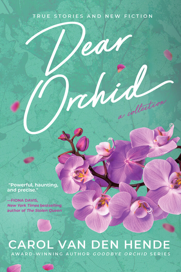 Dear Orchid